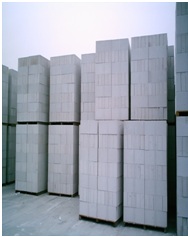 Autoclaved Aerated Concrete Block 
